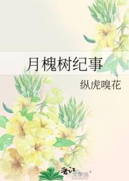 《槐树里》